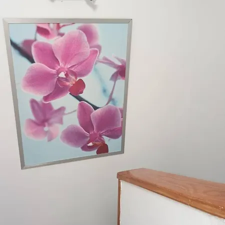 Casa Sira, Centrico Y Cerca De Playa Appartement