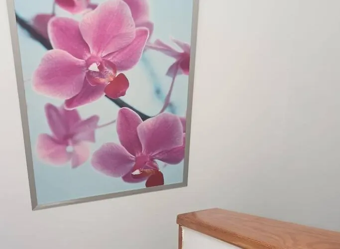 Casa Sira, Centrico Y Cerca De Playa アパート